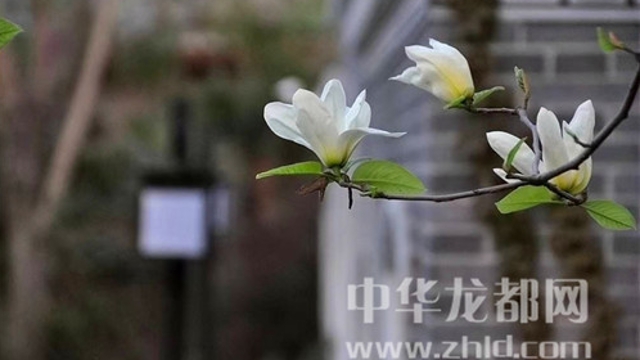 淮陽(yáng)蓮舍，多了一份味道
