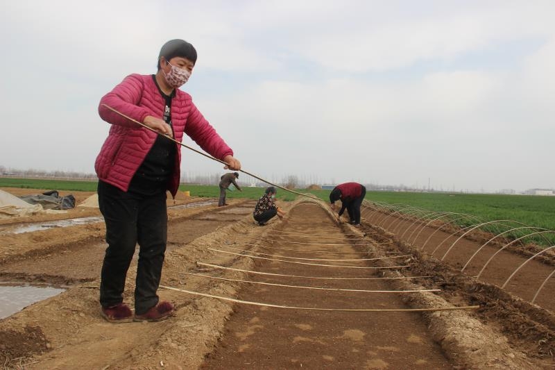 疫情防控、春耕生產(chǎn)兩手抓
